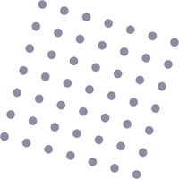 Miami Türk Danışmanlık