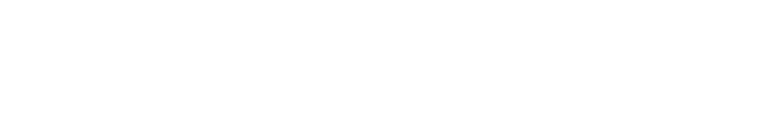 Miami Türk Danışmanlık